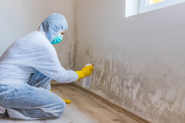 Commercial Mold Remediation assessment for commercial property in Elkton